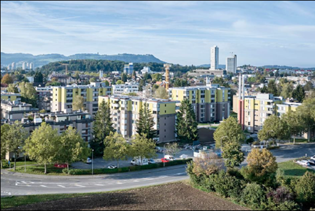 Newsletter SEin Juni 2025